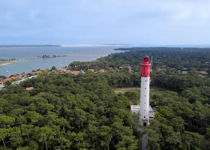 Vvf Lege Cap Ferret