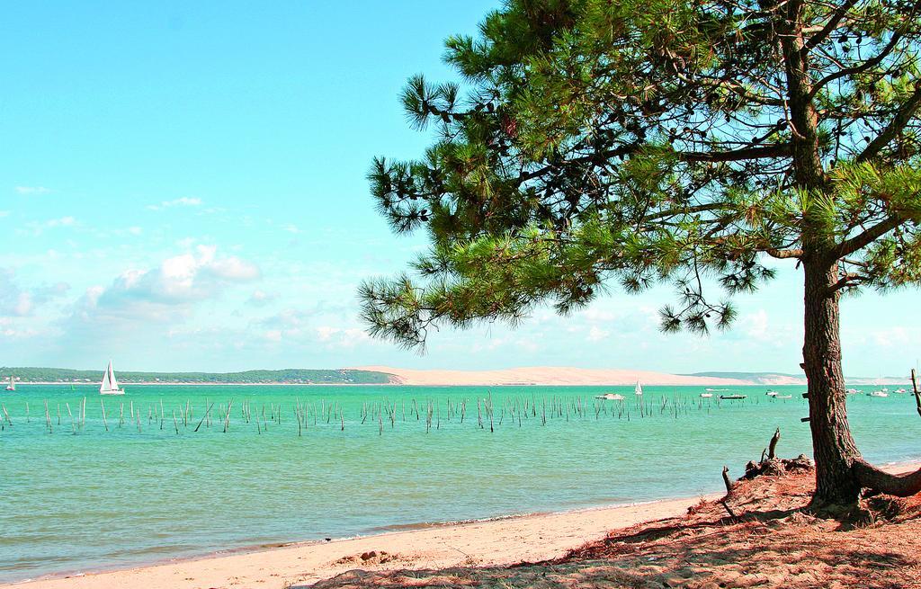 Parque de vacaciones Vvf Cap Ferret 4*